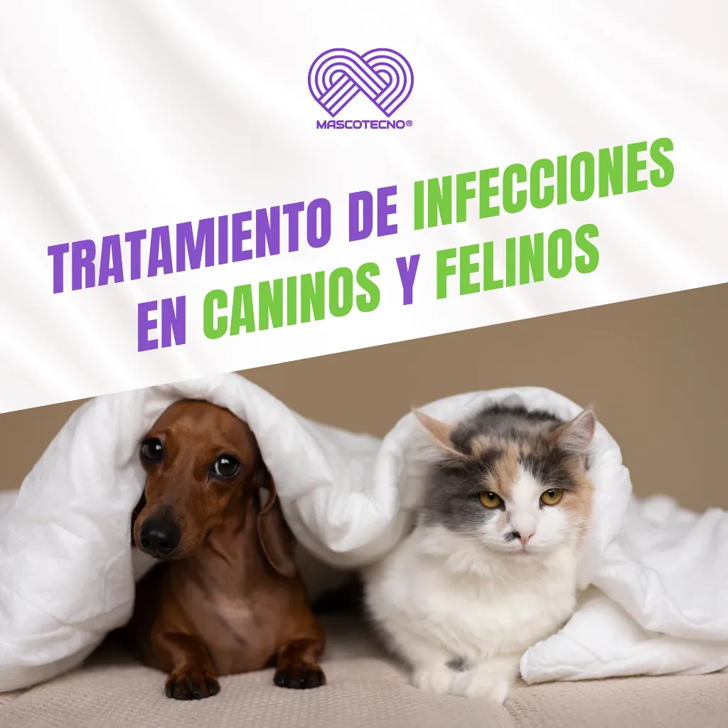 MARBOQUIN_50MG_10TABS_04.webp