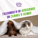 MARBOQUIN_50MG_10TABS_04.webp
