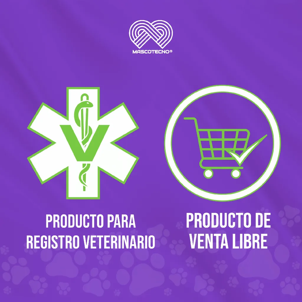 CARNET_MASCOTECNO_02.webp