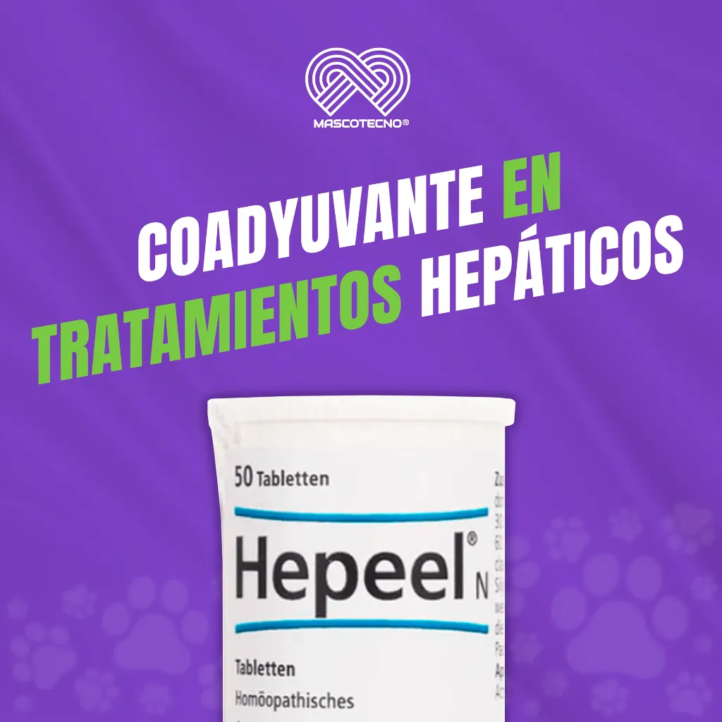 HEPEEL_50TABS_04.webp