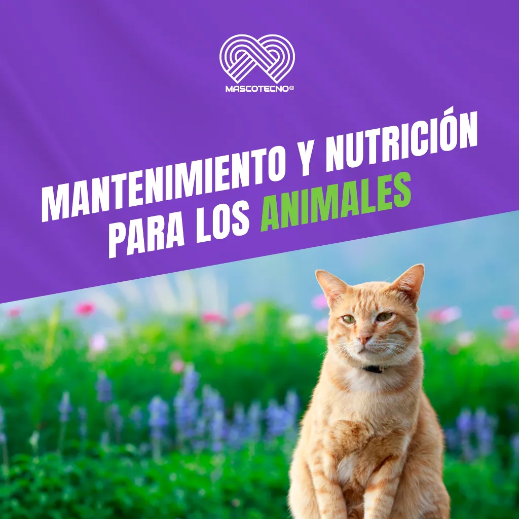 NUTRIZOO_90GR_05.webp
