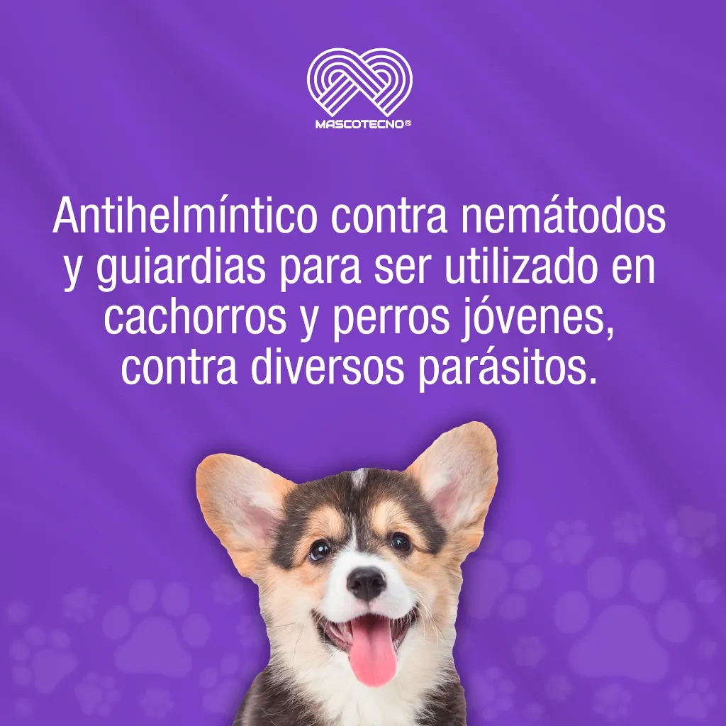 DRONTAL_PUPPY_20ML_01.webp