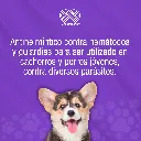 DRONTAL_PUPPY_20ML_01.webp