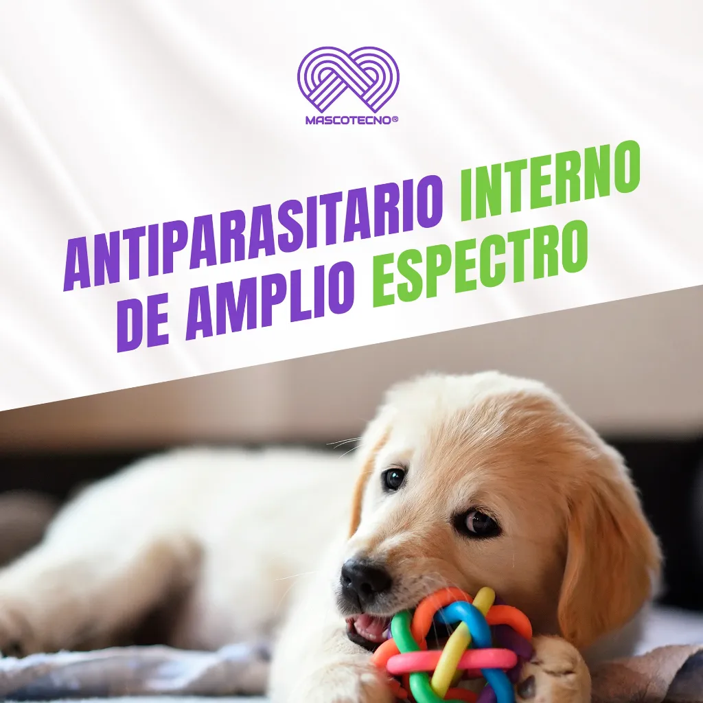 DRONTAL_PUPPY_20ML_04.webp