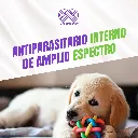 DRONTAL_PUPPY_20ML_04.webp