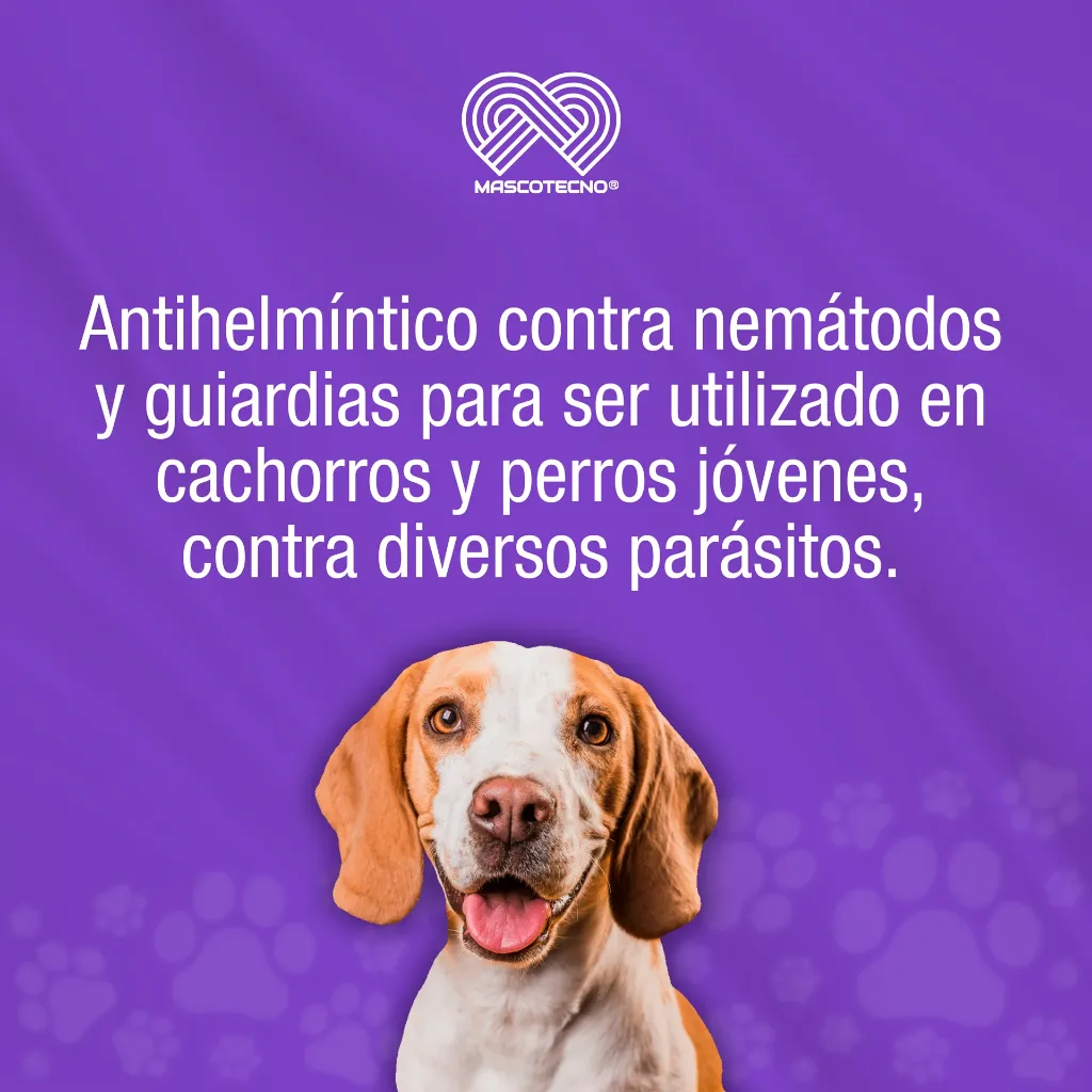 DRONTAL_MEDIANO_2TABS_01.webp