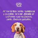 DRONTAL_MEDIANO_2TABS_01.webp