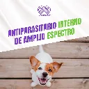 DRONTAL_MEDIANO_2TABS_04.webp