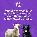 TOLZUCOX_10ML_01.webp