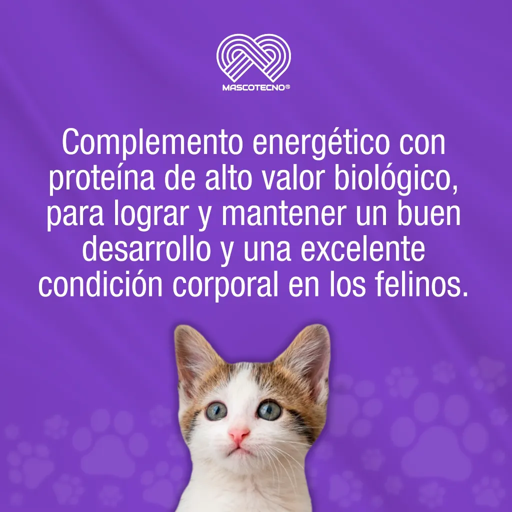 GRADUAL_GATOS_100GR_01.webp