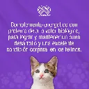 GRADUAL_GATOS_100GR_01.webp