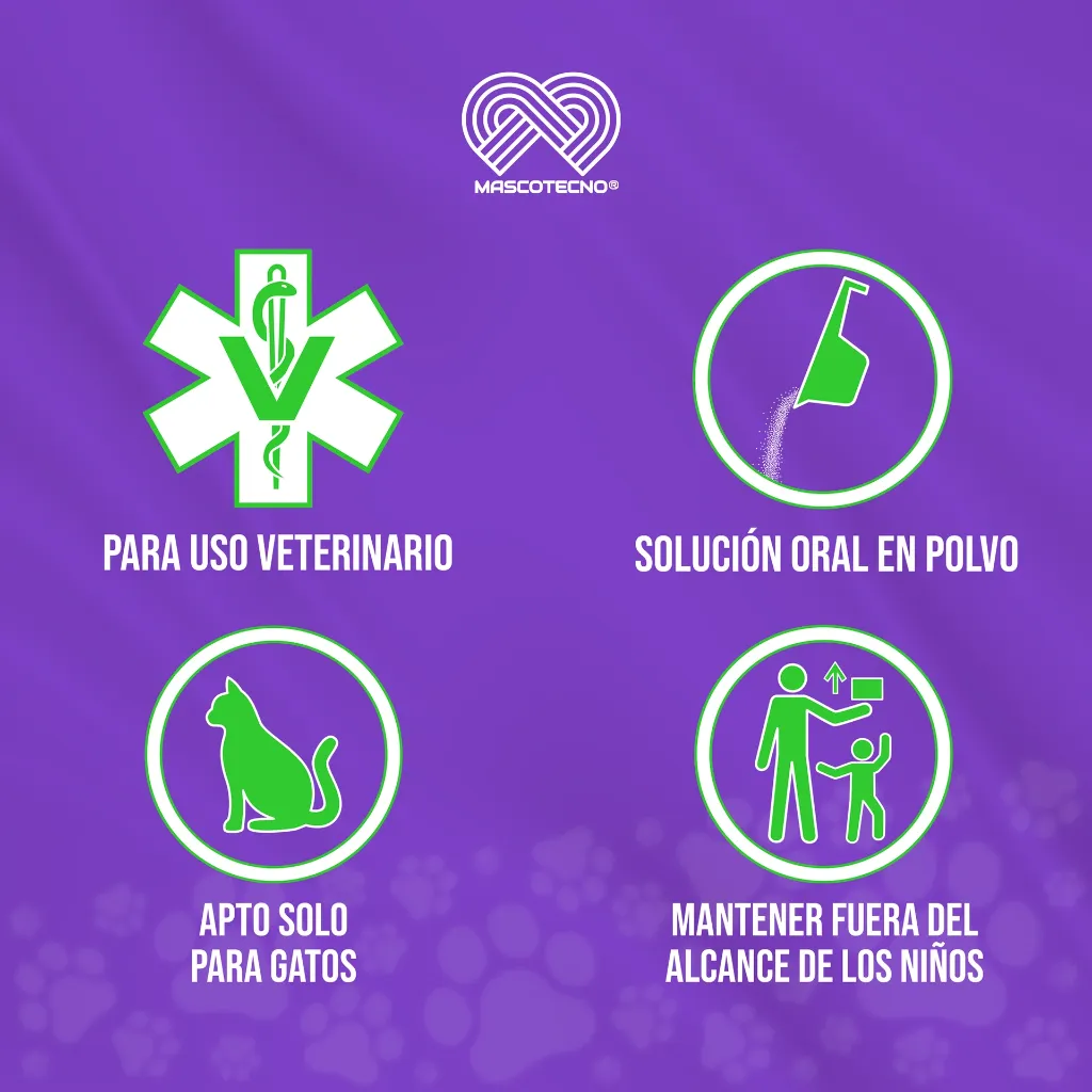 GRADUAL_GATOS_100GR_02.webp
