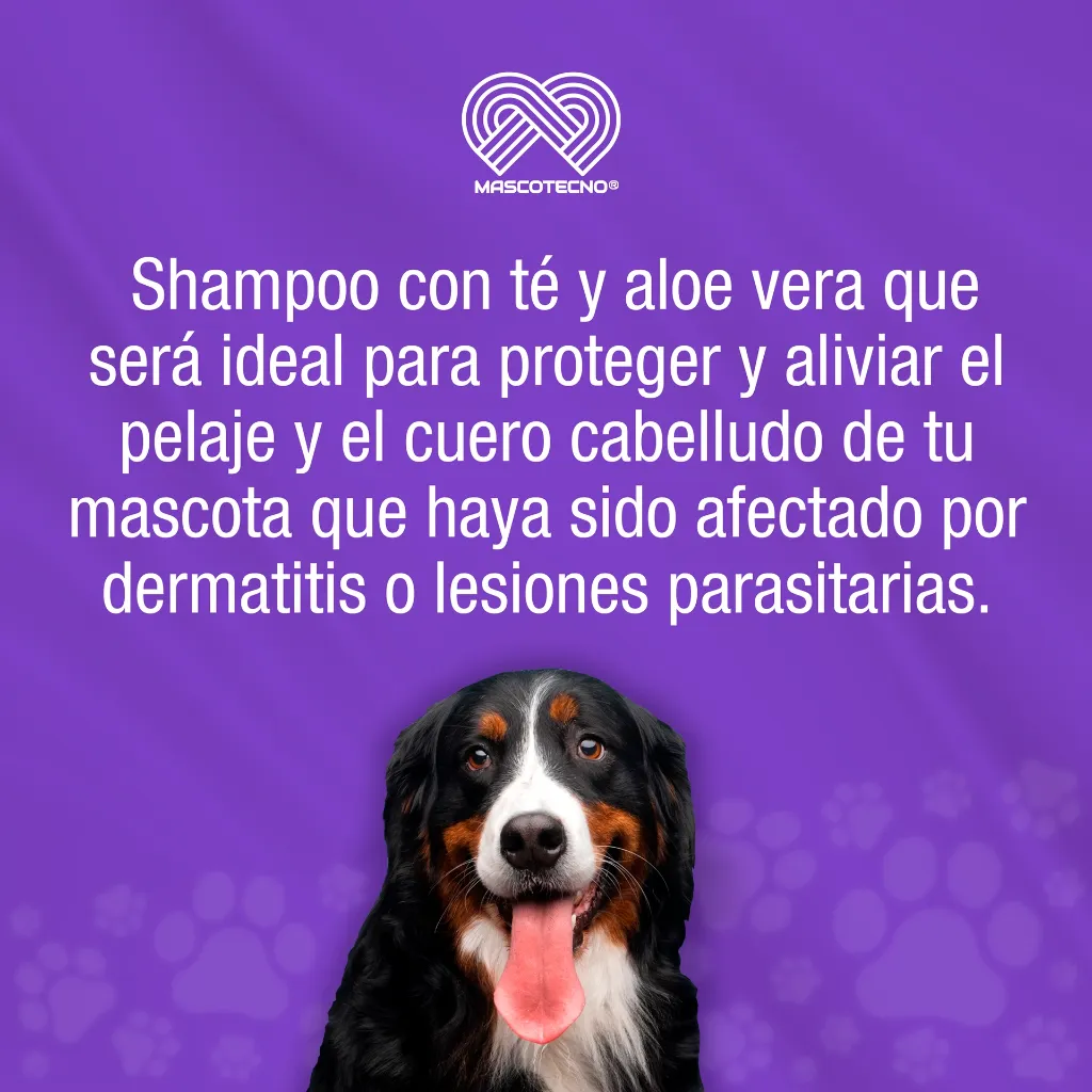 SHAMPOO_CANAMOR_TE_SOBRE30ML_01.webp