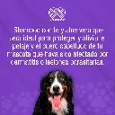 SHAMPOO_CANAMOR_TE_SOBRE30ML_01.webp