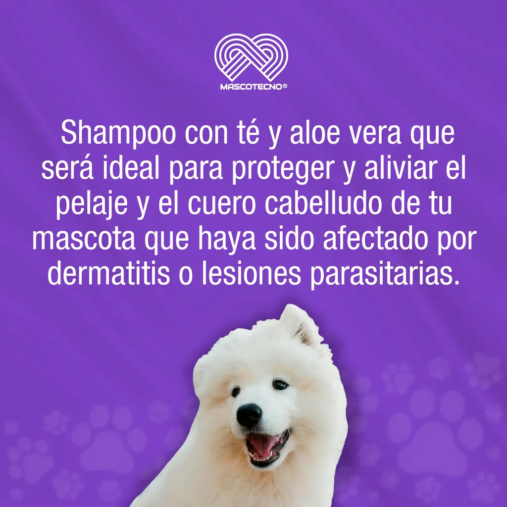 SHAMPOO_CANAMOR_TE_230ML_01.webp