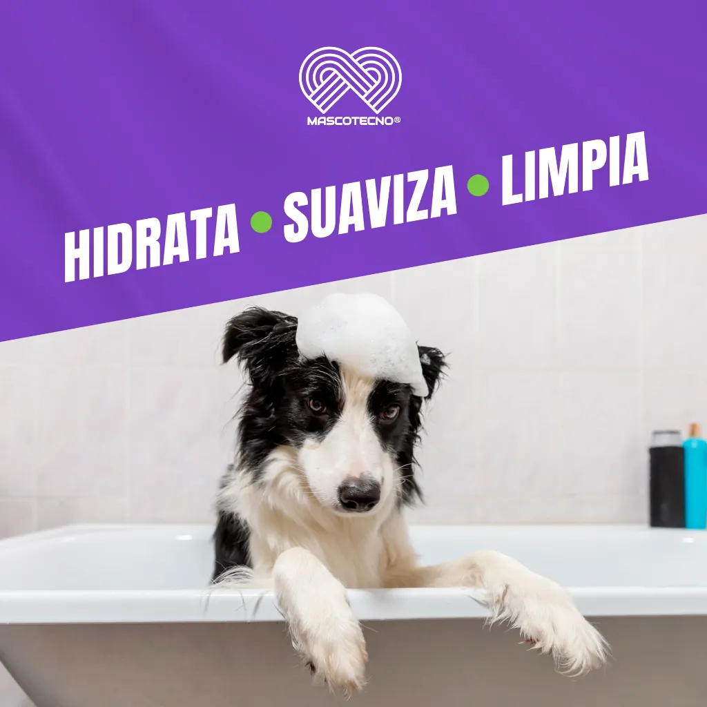 SHAMPOO_CANAMOR_TE_230ML_05.webp