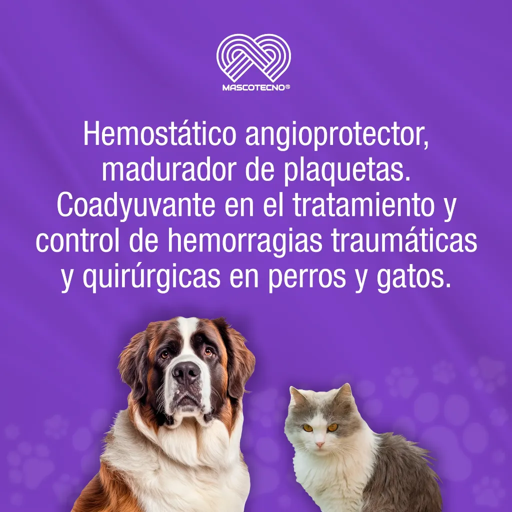 QUERCETOL_VET100_10TABS_01.webp