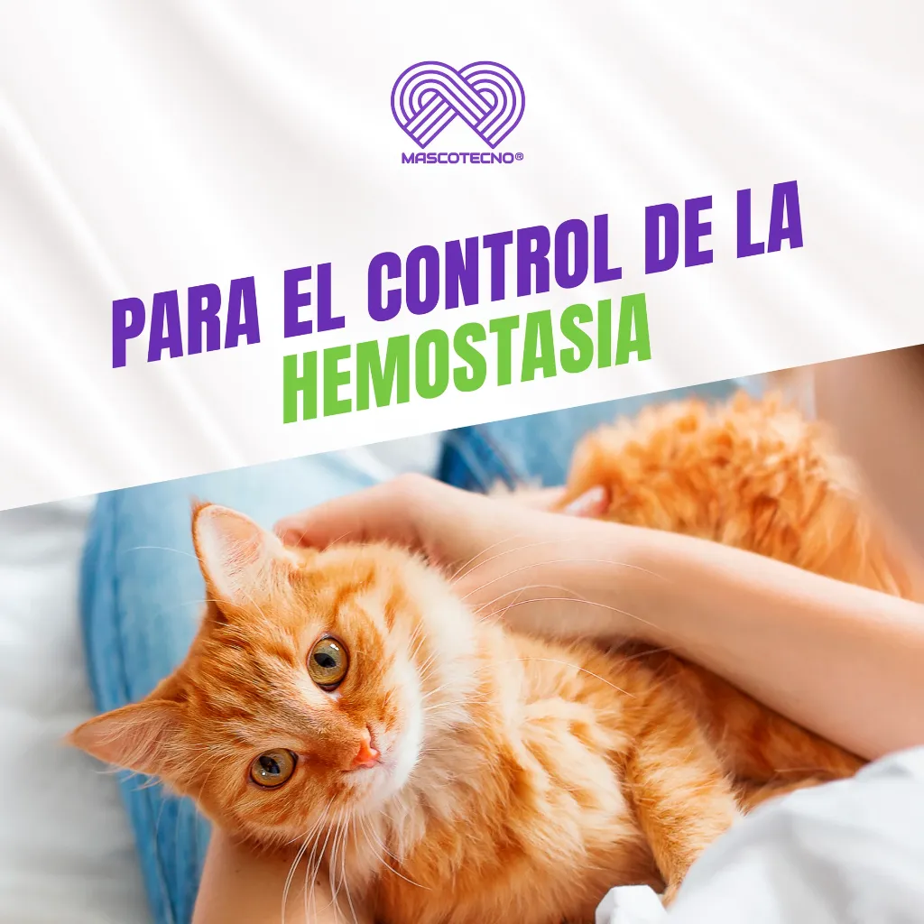 QUERCETOL_VET100_10TABS_04.webp