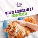 QUERCETOL_VET100_10TABS_04.webp