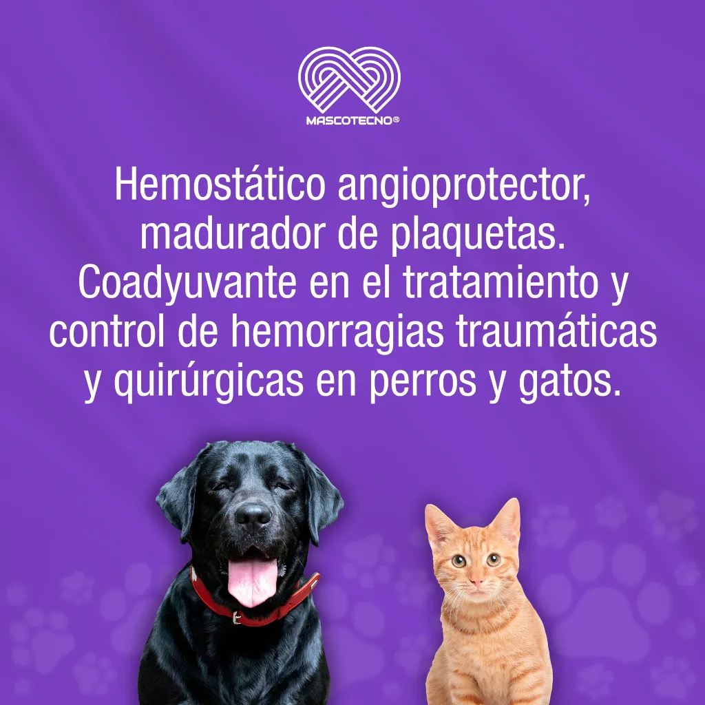 QUERCETOL_VET70_10TABS_01.webp