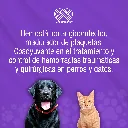 QUERCETOL_VET70_10TABS_01.webp
