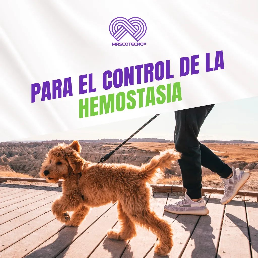 QUERCETOL_VET70_10TABS_04.webp