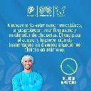 QUERCETOL_INY_10ML_01.webp
