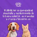 CANIVEX_10ML_01.webp