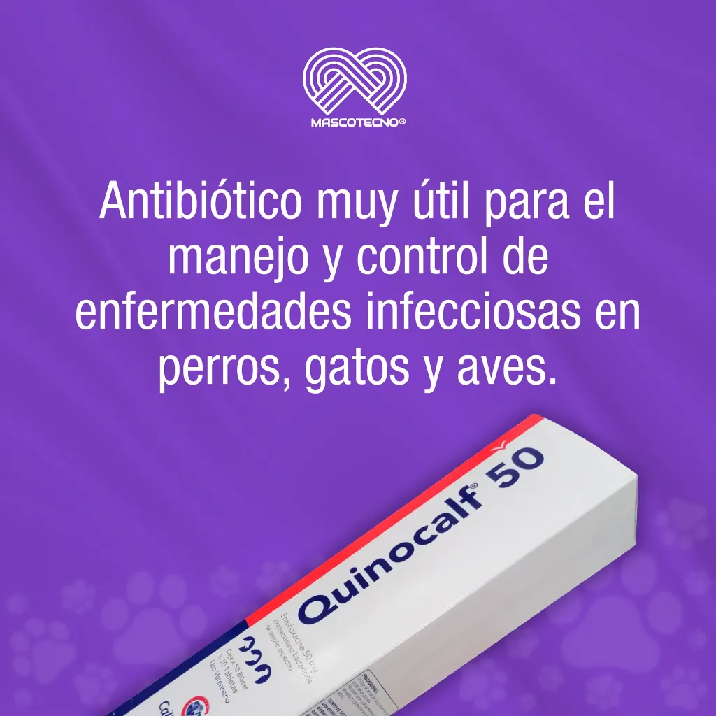QUINOCALF_50ML_10TABS_01.webp