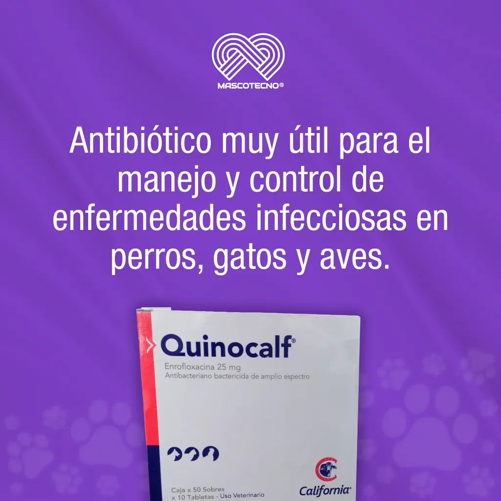QUINOCALF_25ML_10TABS_01.webp