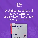 QUINOCALF_25ML_10TABS_01.webp