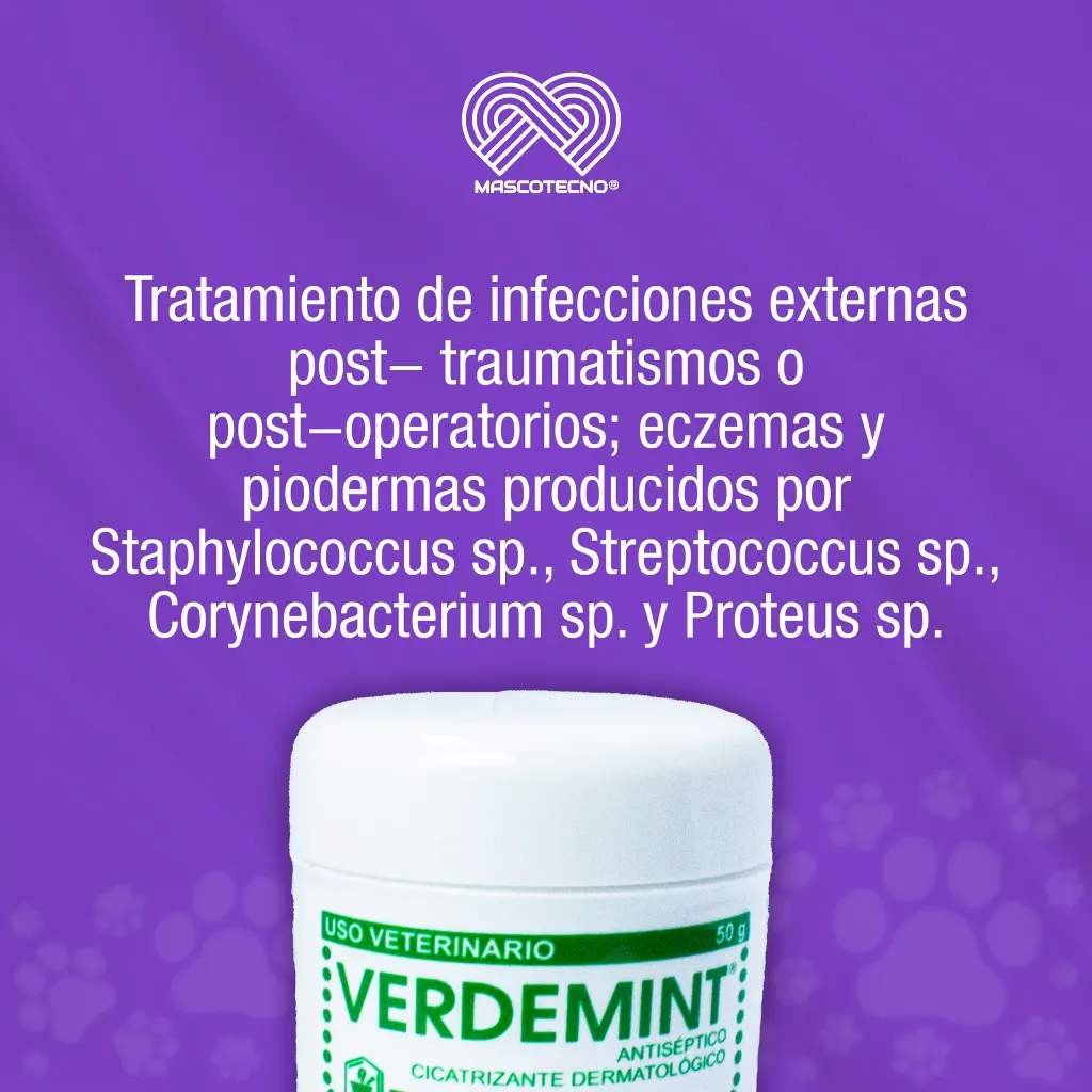 VERDEMINT_50GR_01.webp