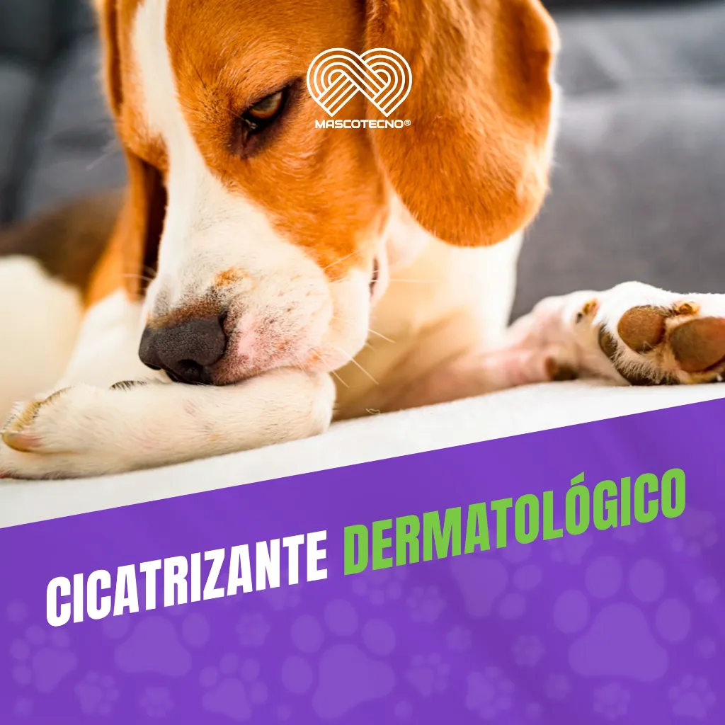 VERDEMINT_50GR_05.webp