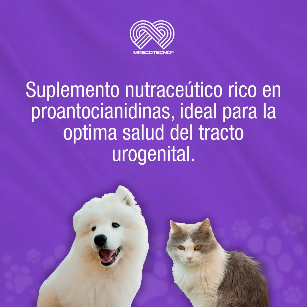 URIPHAR_100ML_01.webp