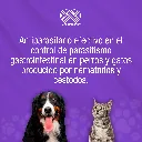 PETSANTEL_50ML_01.webp