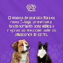 ESENCIA_FLORAL_CFAGIA_PERROS_50ML_01.webp