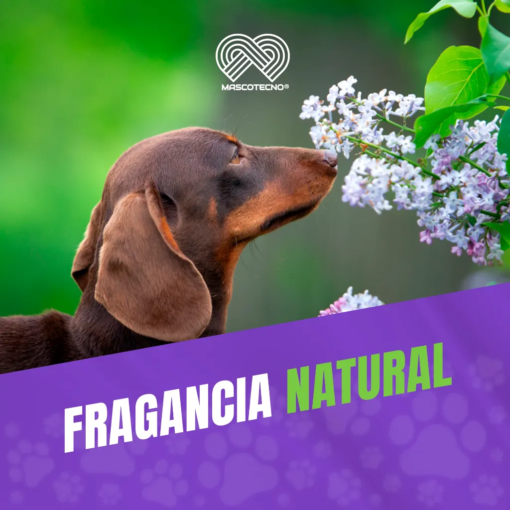 ESENCIA_FLORAL_CFAGIA_PERROS_50ML_05.webp