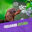 ESENCIA_FLORAL_CFAGIA_PERROS_50ML_05.webp