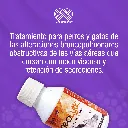 NEOLYTIC_ORAL60ML_01.webp