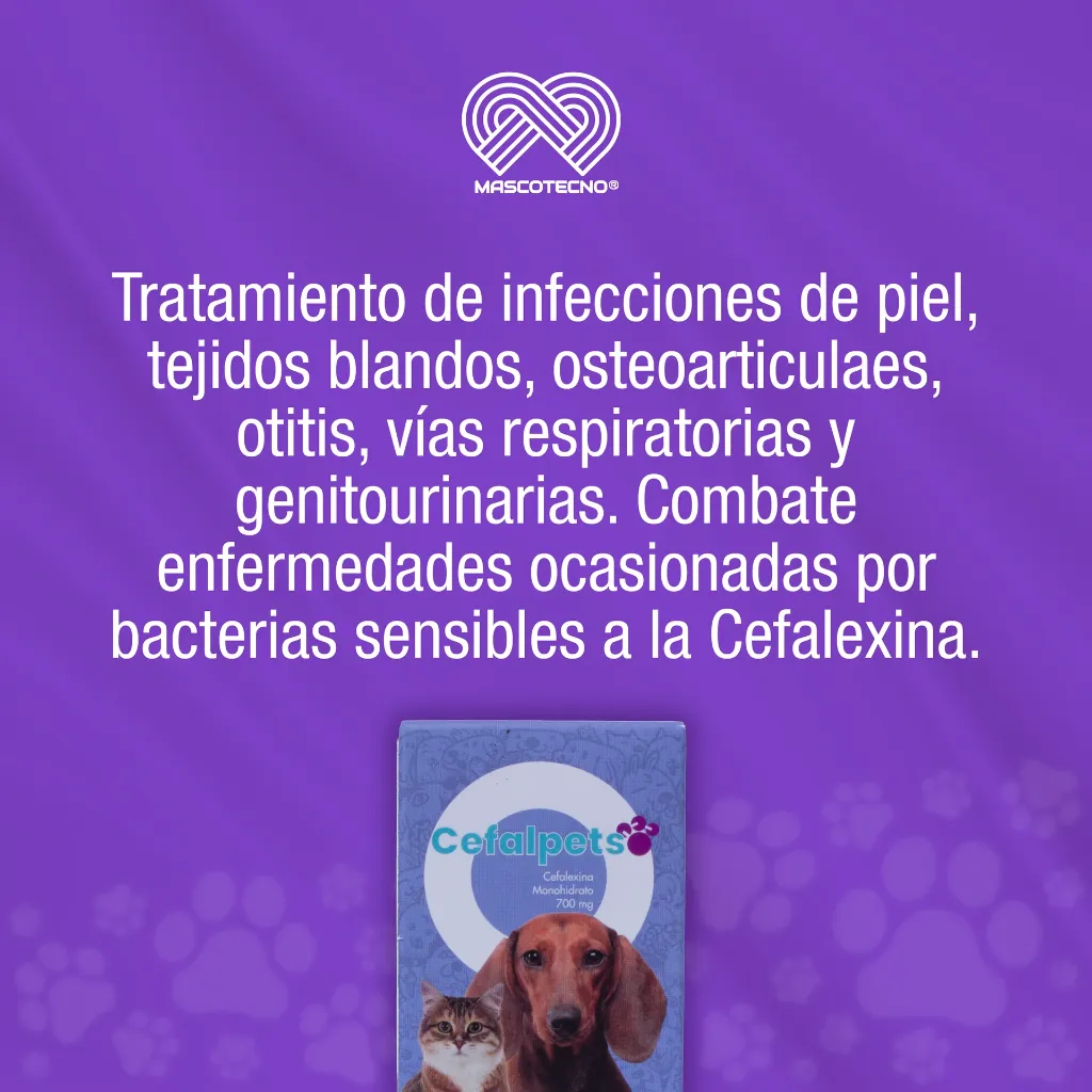 CEFALPETS_8T_700MG_01.webp