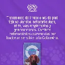 CEFALPETS_8T_700MG_01.webp