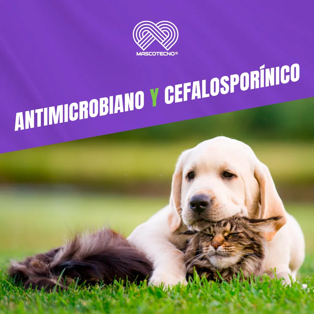 CEFALPETS_8T_700MG_05.webp