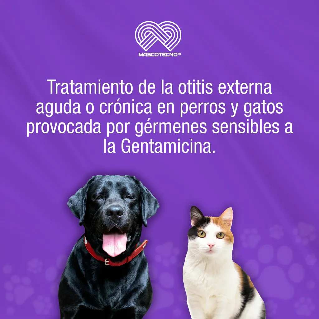 OTTICUS_15G_01.webp