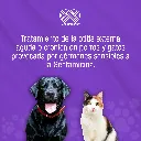 OTTICUS_15G_01.webp