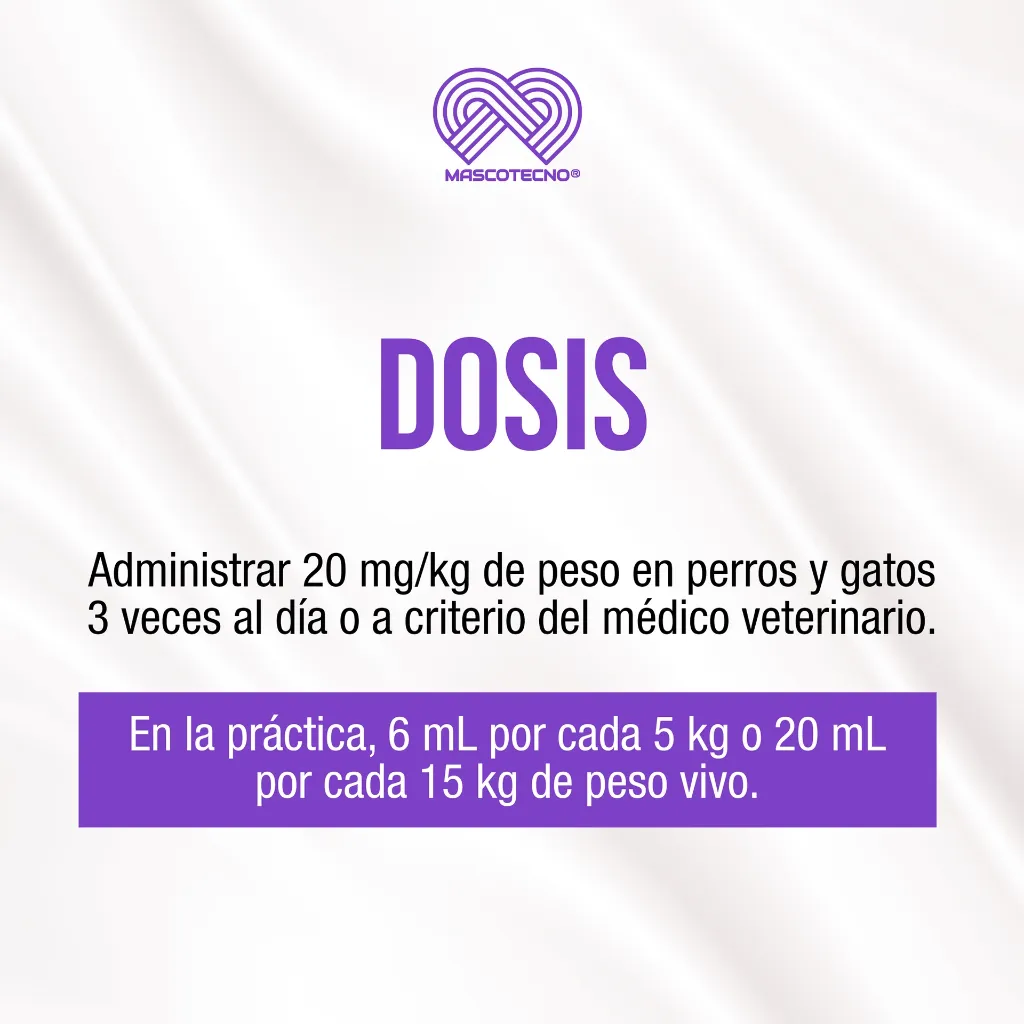 BISTOP_ALL_03.webp