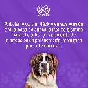 BISTOP_120ML_01.webp