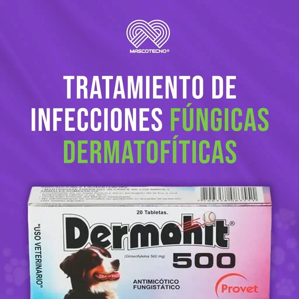 DERMOHIT500_20TABS_05.webp