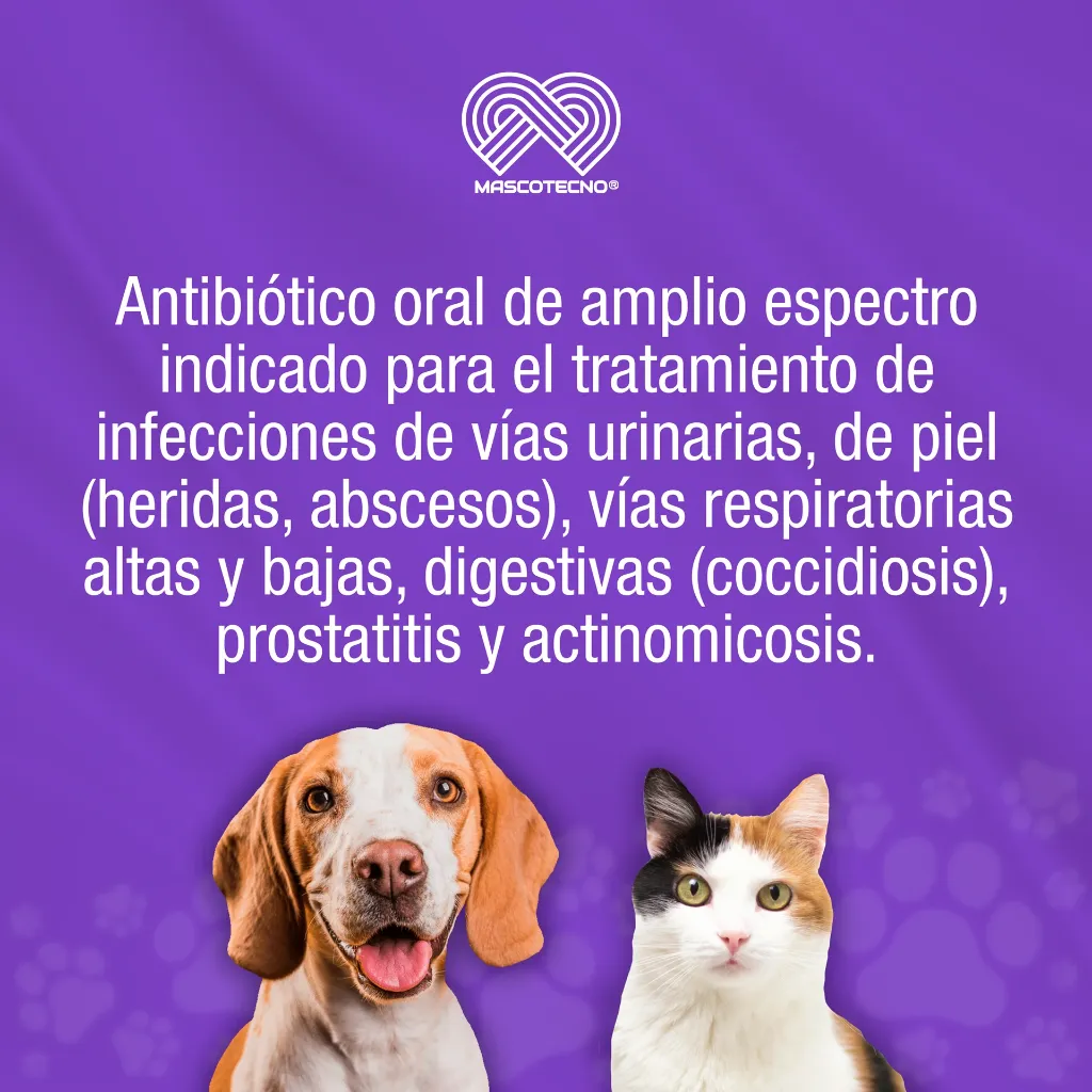 GORBAZOO_10TABS_01.webp