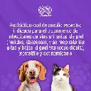 GORBAZOO_10TABS_01.webp