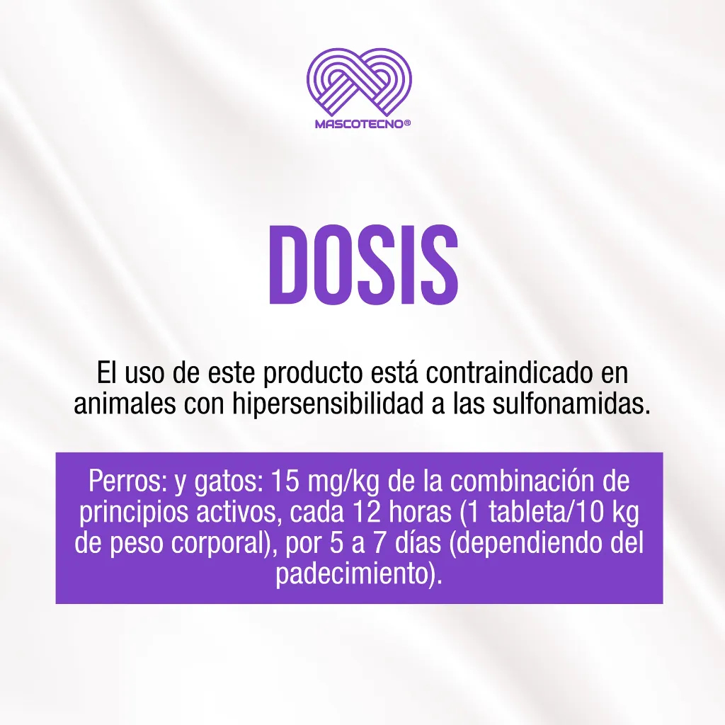 GORBAZOO_10TABS_03.webp